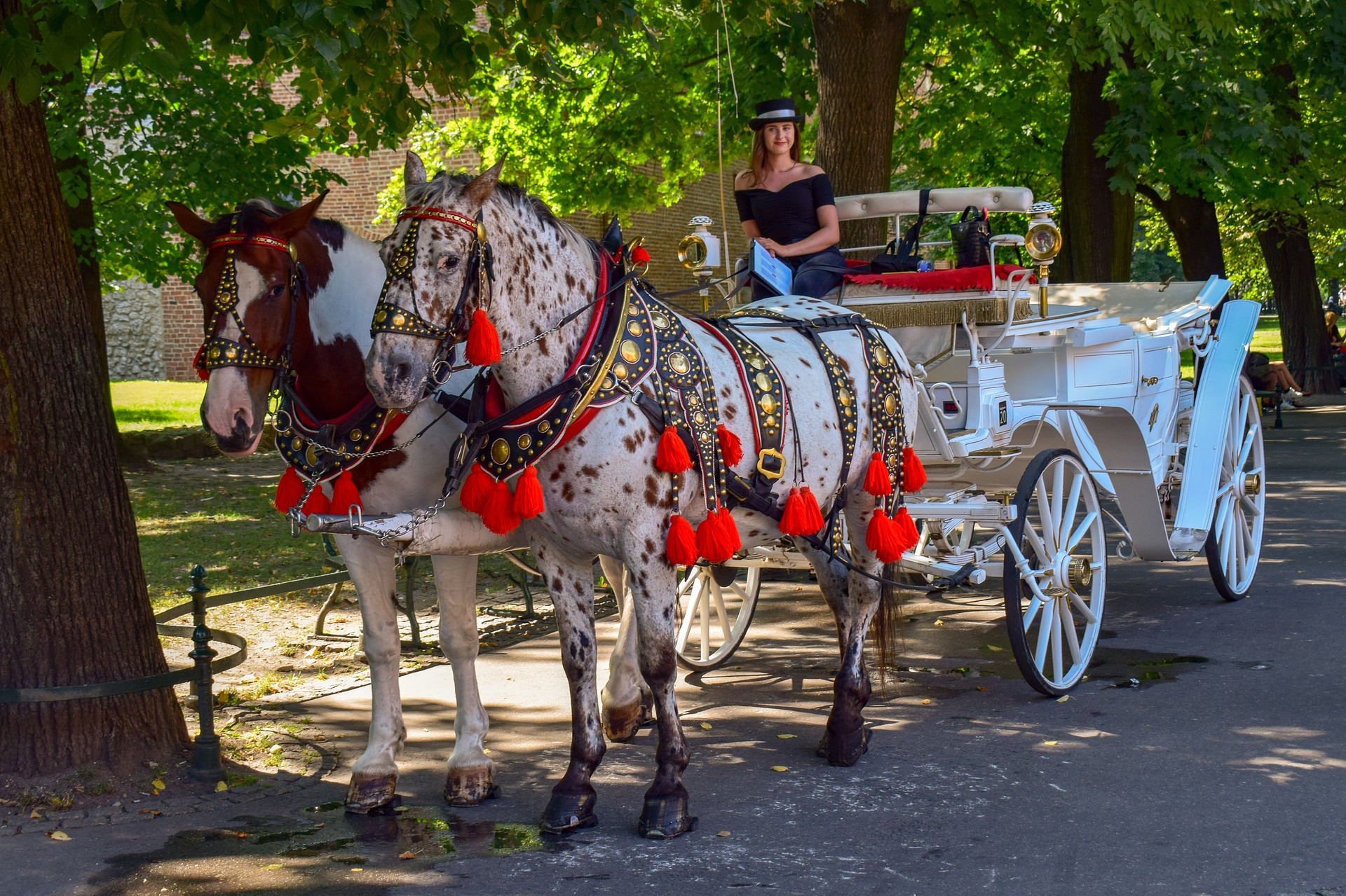 Two charming horses pulling a carriage through the picturesque streets of Krakow, Poland, with historic buildings in the background, reflecting the city's timeless charm and cultural heritage